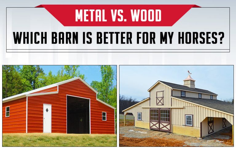 Metal Vs. Wood: Which Barn Is Better for My Horses?